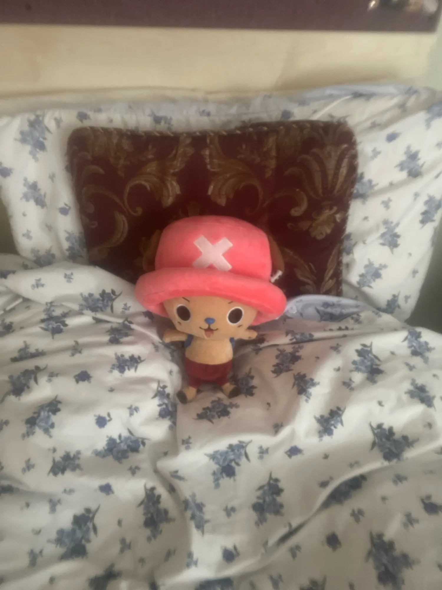 Foto de un comprador: Peluche de Tony Tony Chopper de 24 cm, 4 estilos a elegir