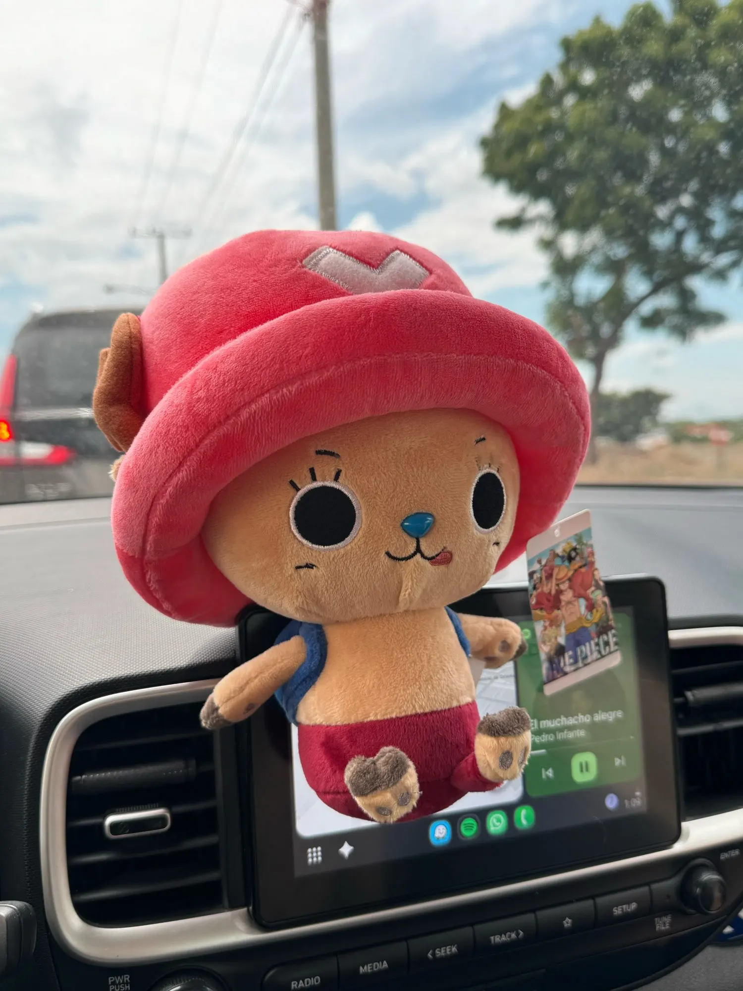 Foto de un comprador: Peluche de Tony Tony Chopper de 24 cm, 4 estilos a elegir