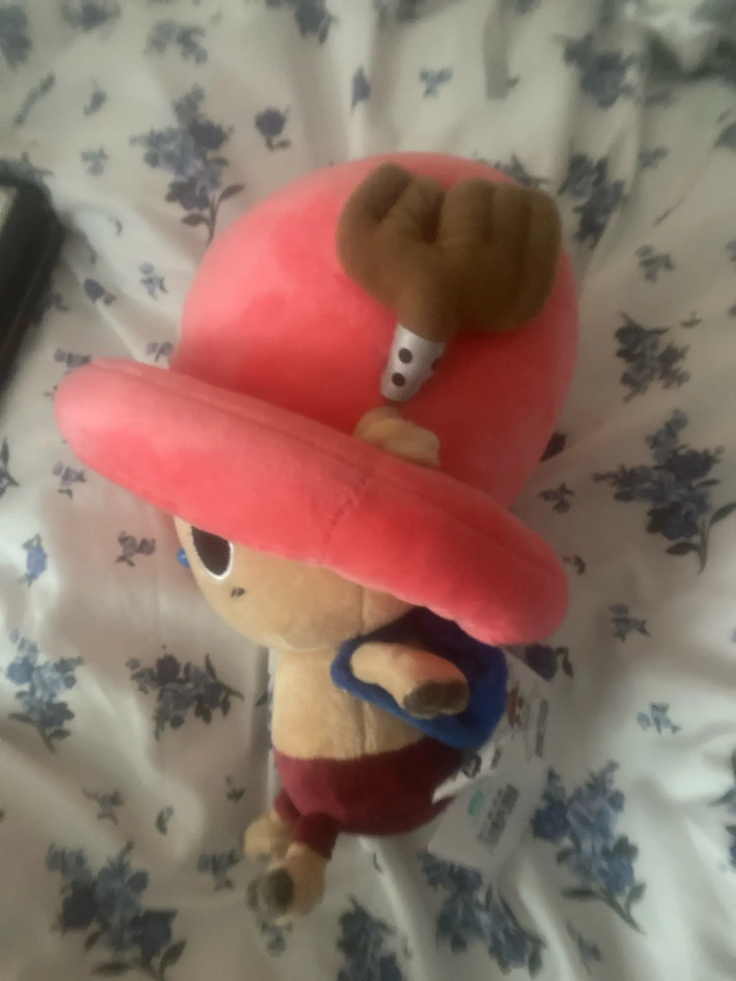 Foto de un comprador: Peluche de Tony Tony Chopper de 24 cm, 4 estilos a elegir