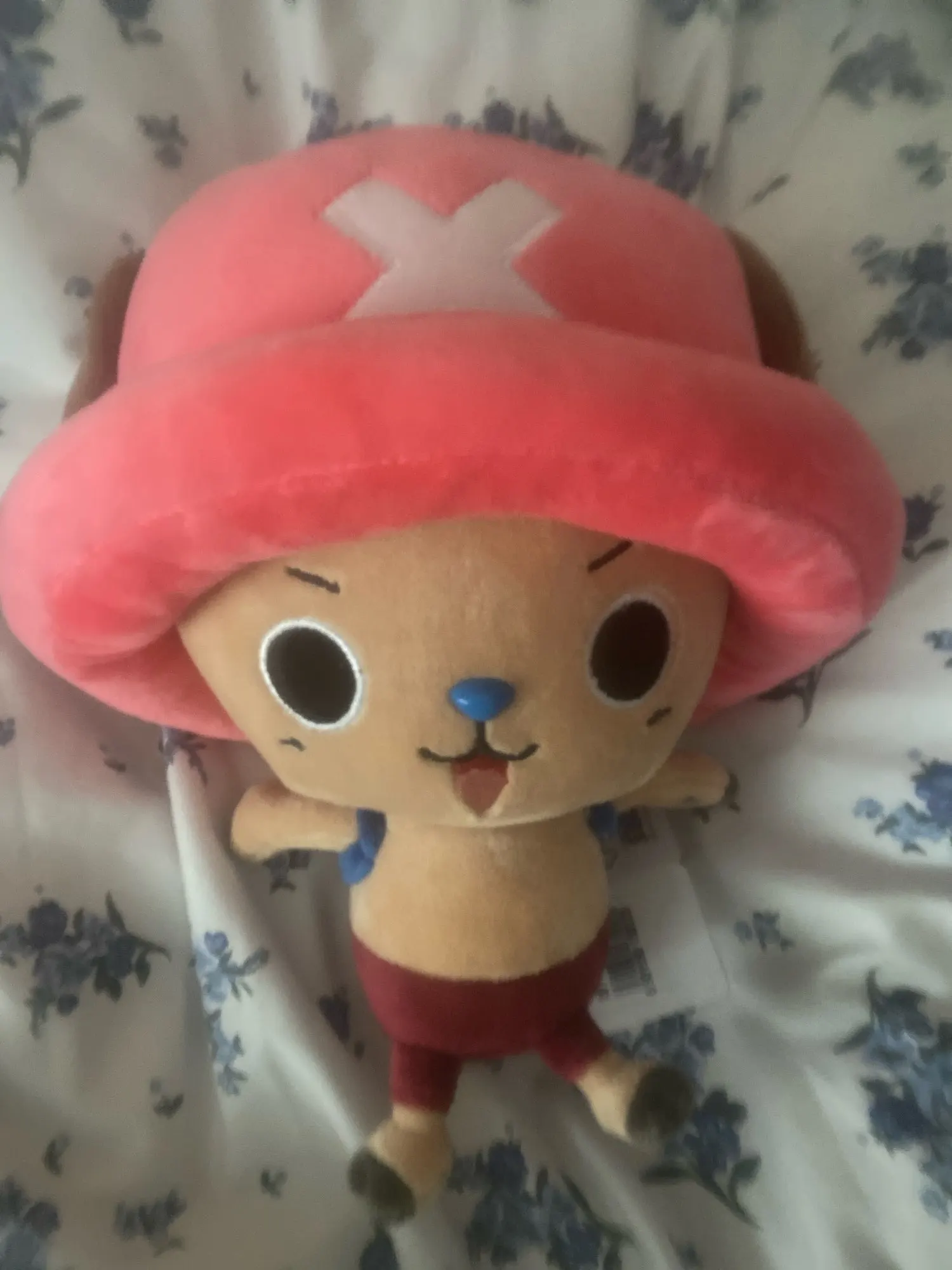 Foto de un comprador: Peluche de Tony Tony Chopper de 24 cm, 4 estilos a elegir