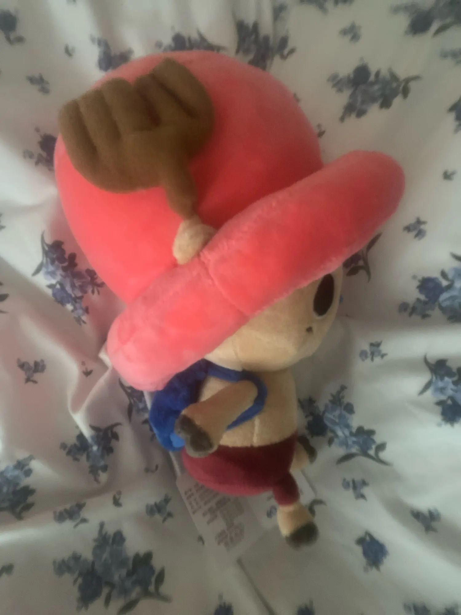 Foto de un comprador: Peluche de Tony Tony Chopper de 24 cm, 4 estilos a elegir