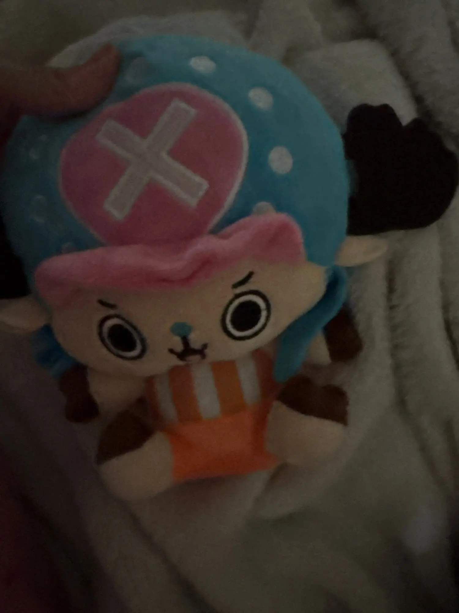Foto de un comprador: Figura de Zoro de peluche, también Luffy y Chopper, 12 a 20 cm