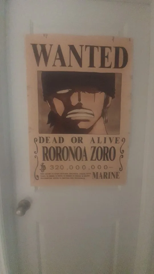 Foto de un comprador: Póster de Zoro y Luffy con recompensa, tela sin marco hasta 55 × 80 cm