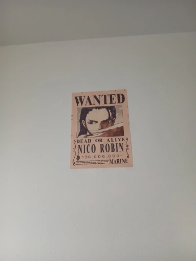 Foto de un comprador: Póster de Zoro y Luffy con recompensa, tela sin marco hasta 55 × 80 cm