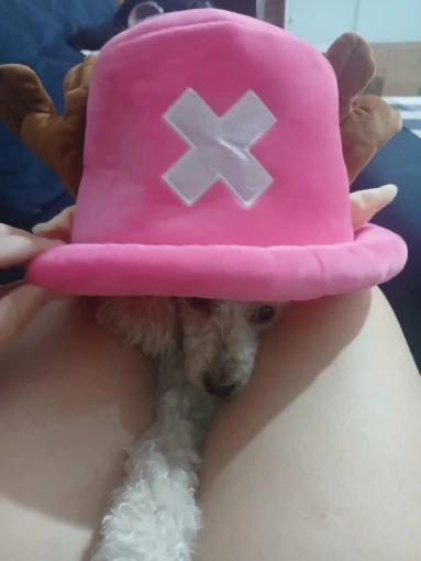 Foto de un comprador: Disfraz de Chopper: gorro de algodón unisex para cosplay