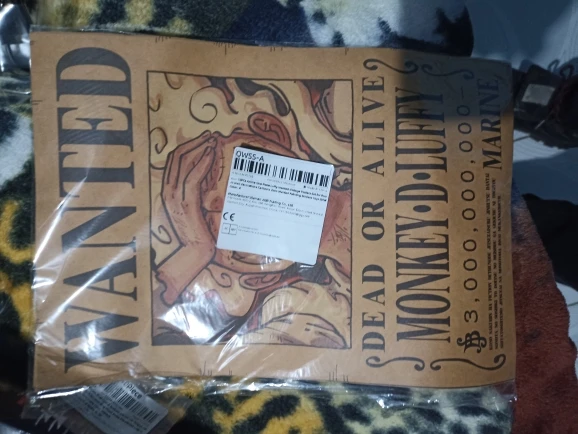 Foto de un comprador: Pósters de One Piece Wanted de Luffy y Zoro, juego vintage de 10