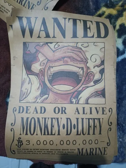 Foto de un comprador: Pósters de One Piece Wanted de Luffy y Zoro, juego vintage de 10