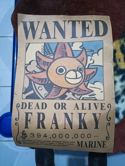 Foto de un comprador: Pósters de One Piece Wanted de Luffy y Zoro, juego vintage de 10