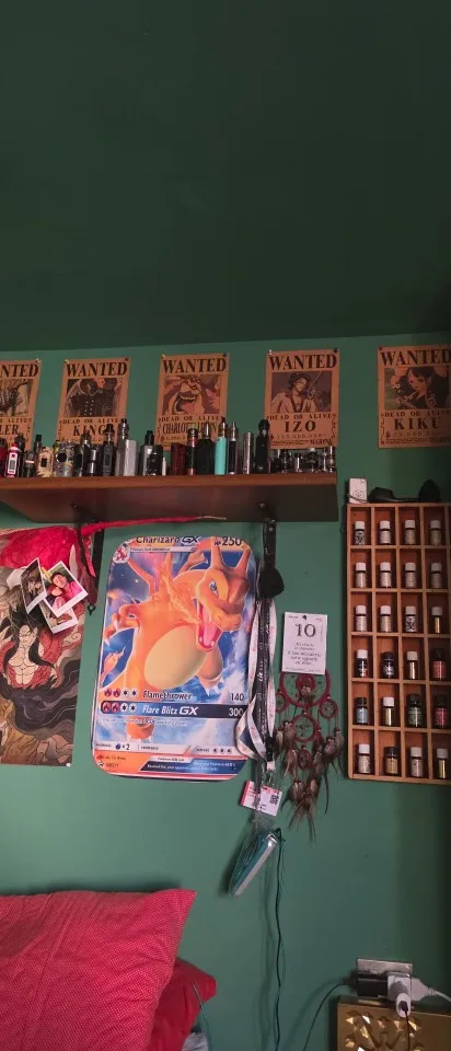Foto de un comprador: Pósters de One Piece Wanted de Luffy y Zoro, juego vintage de 10