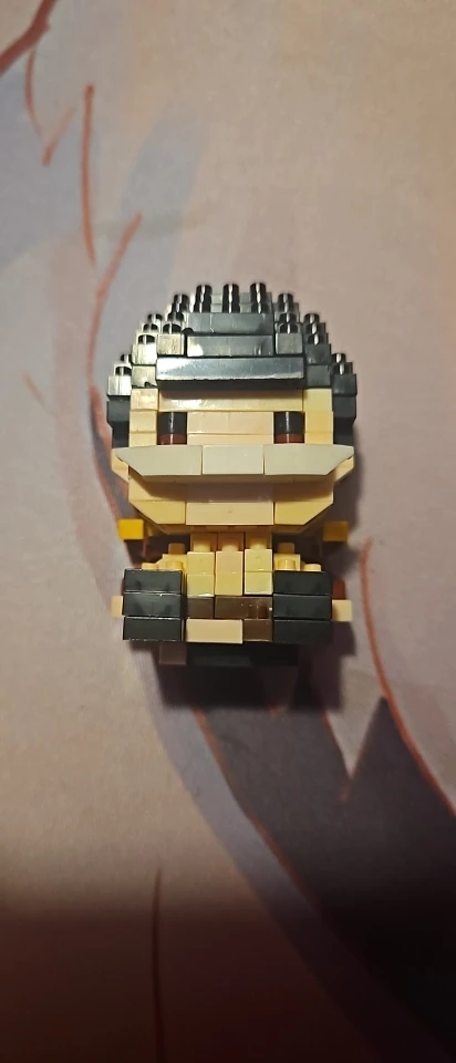 Foto de un comprador: Figura de One Piece 3D de mini ladrillos para armar y exhibir