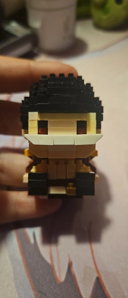 Foto de un comprador: Figura de One Piece 3D de mini ladrillos para armar y exhibir