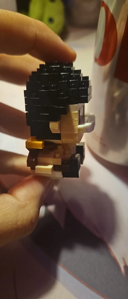Foto de un comprador: Figura de One Piece 3D de mini ladrillos para armar y exhibir