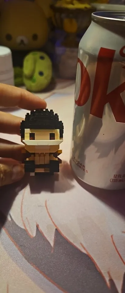 Foto de un comprador: Figura de One Piece 3D de mini ladrillos para armar y exhibir