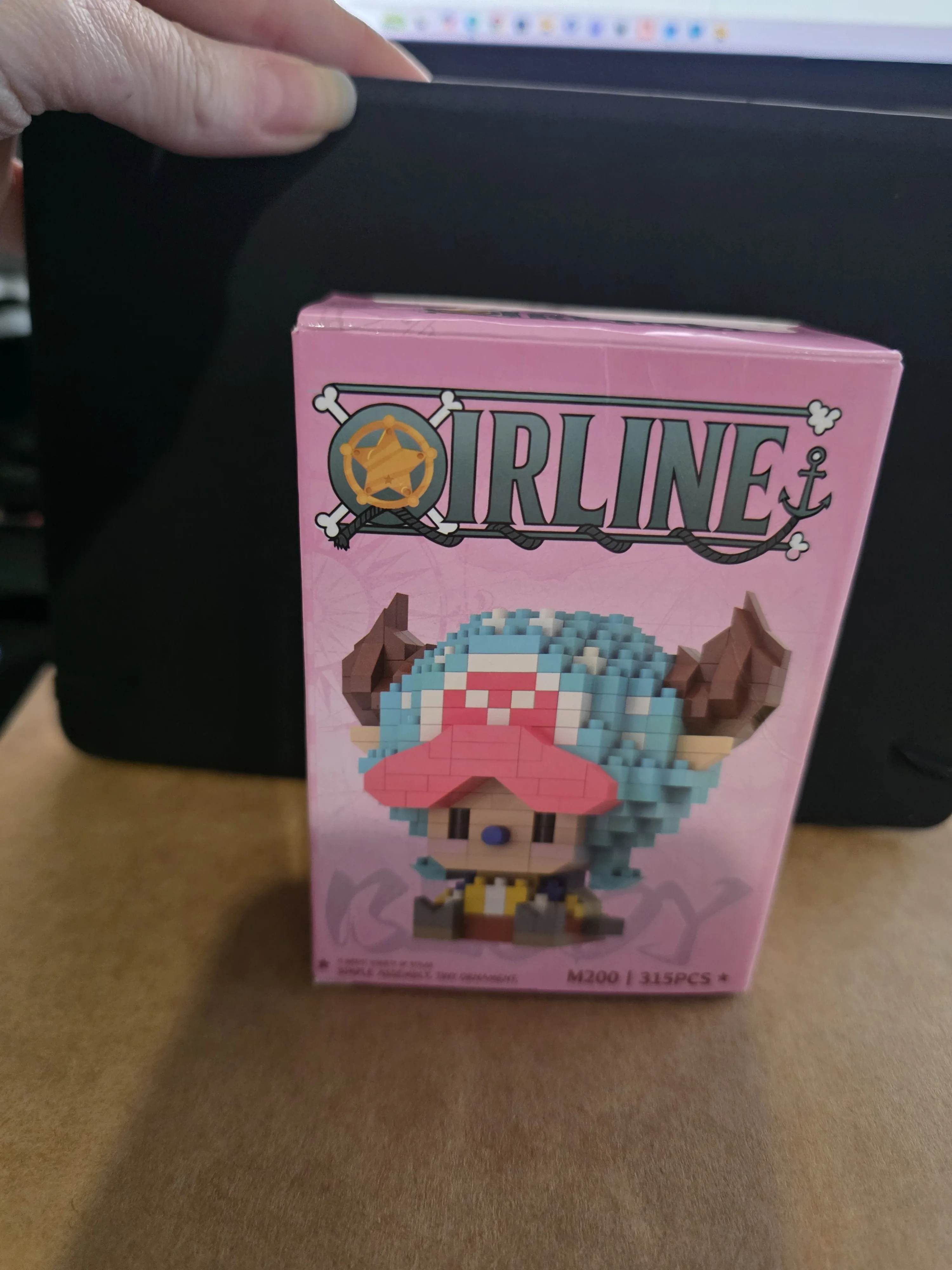 Foto de un comprador: Figura de One Piece 3D de mini ladrillos para armar y exhibir