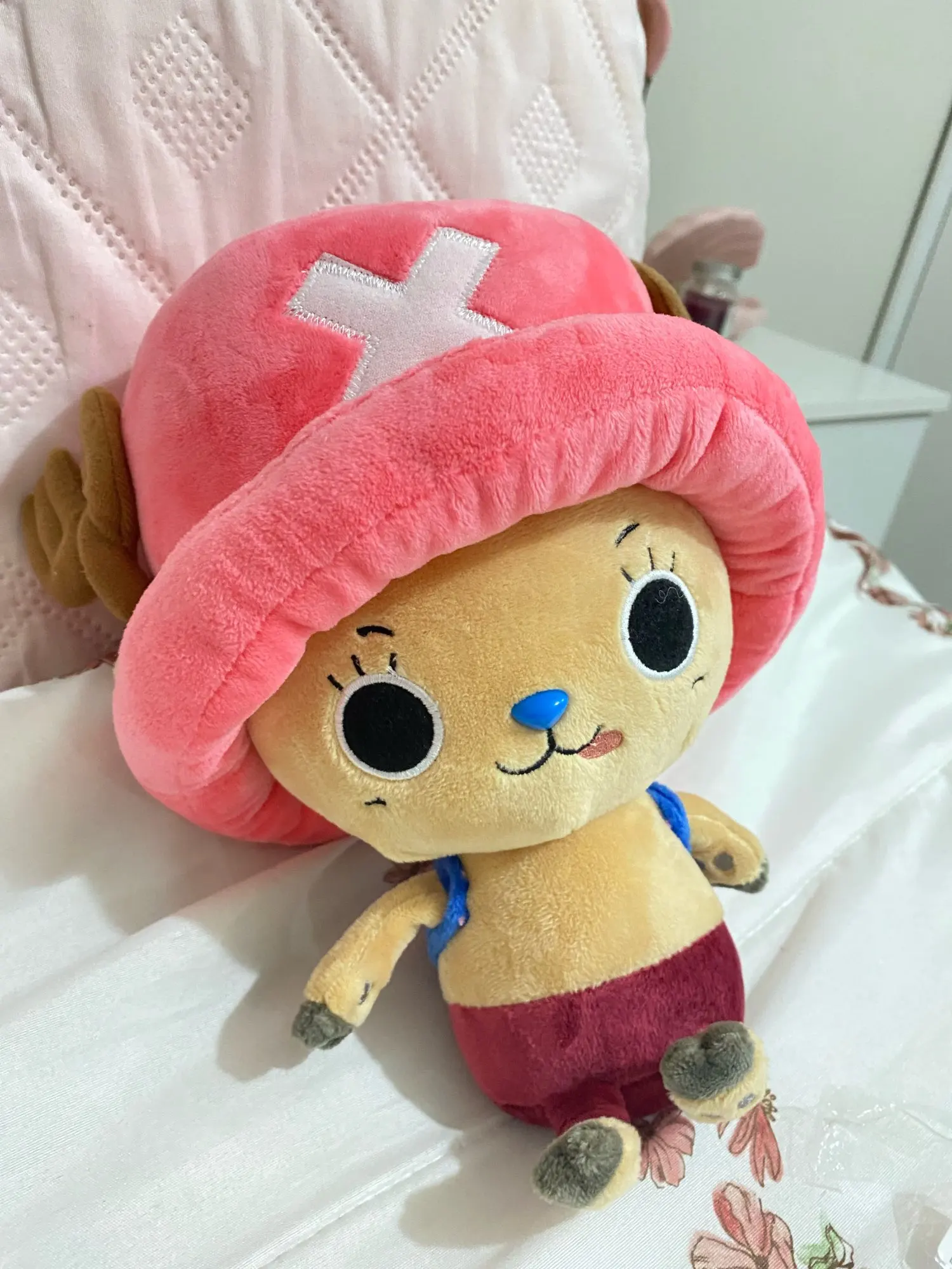 Foto de un comprador: Peluche de One Piece: Luffy y Chopper de 30 cm, 25 modelos