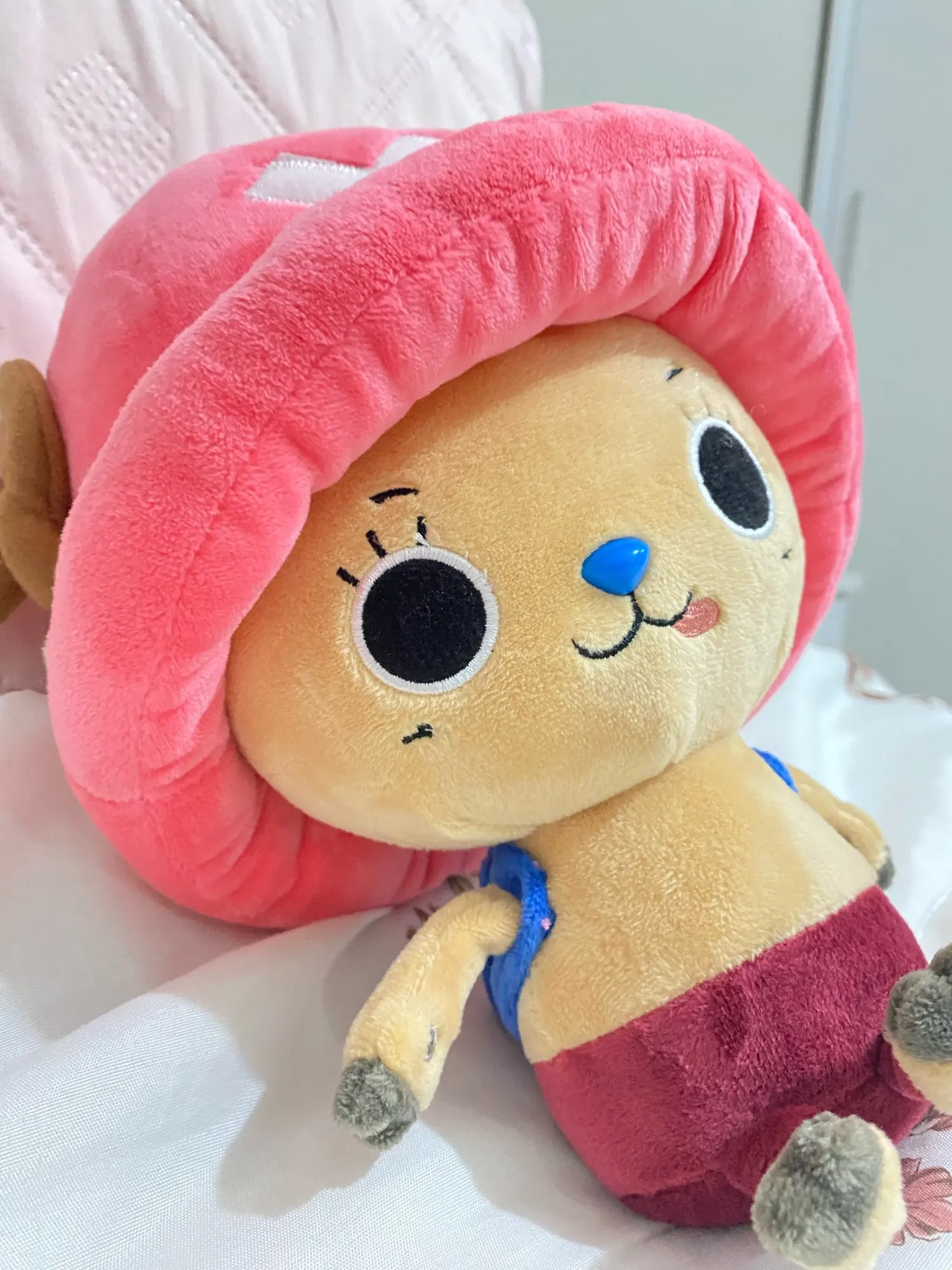 Foto de un comprador: Peluche de One Piece: Luffy y Chopper de 30 cm, 25 modelos