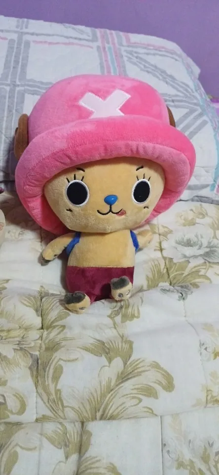 Foto de un comprador: Peluche de One Piece: Luffy y Chopper de 30 cm, 25 modelos