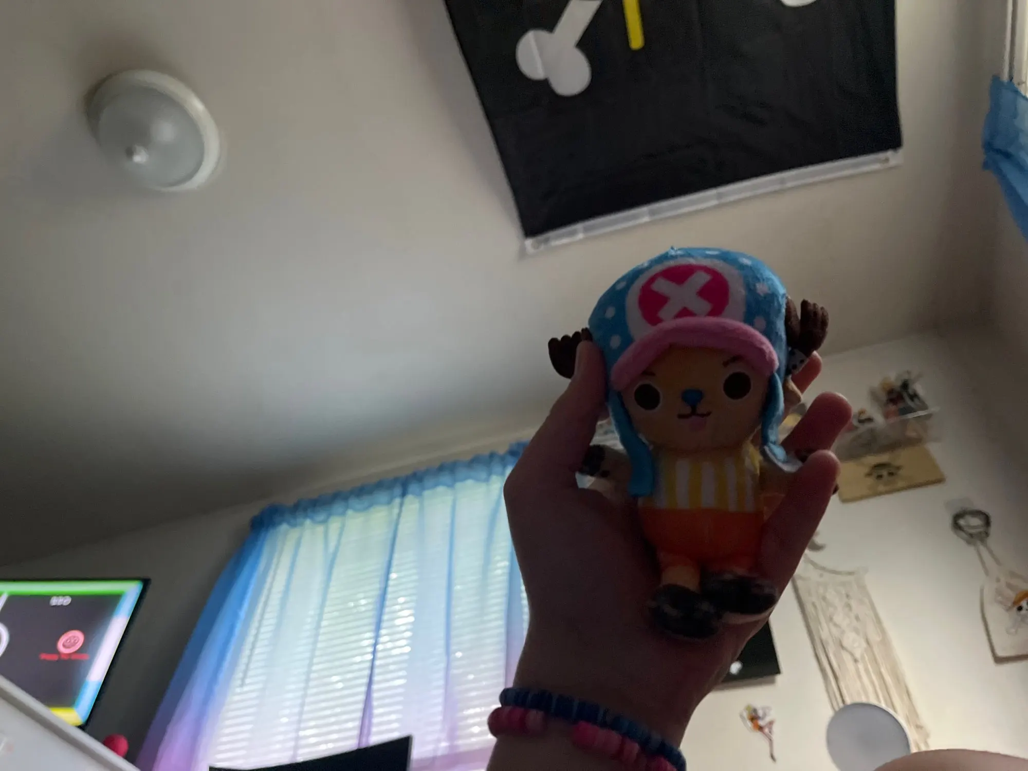 Foto de un comprador: Peluche llavero de One Piece: Luffy, Chopper y Sabo de 10-14 cm